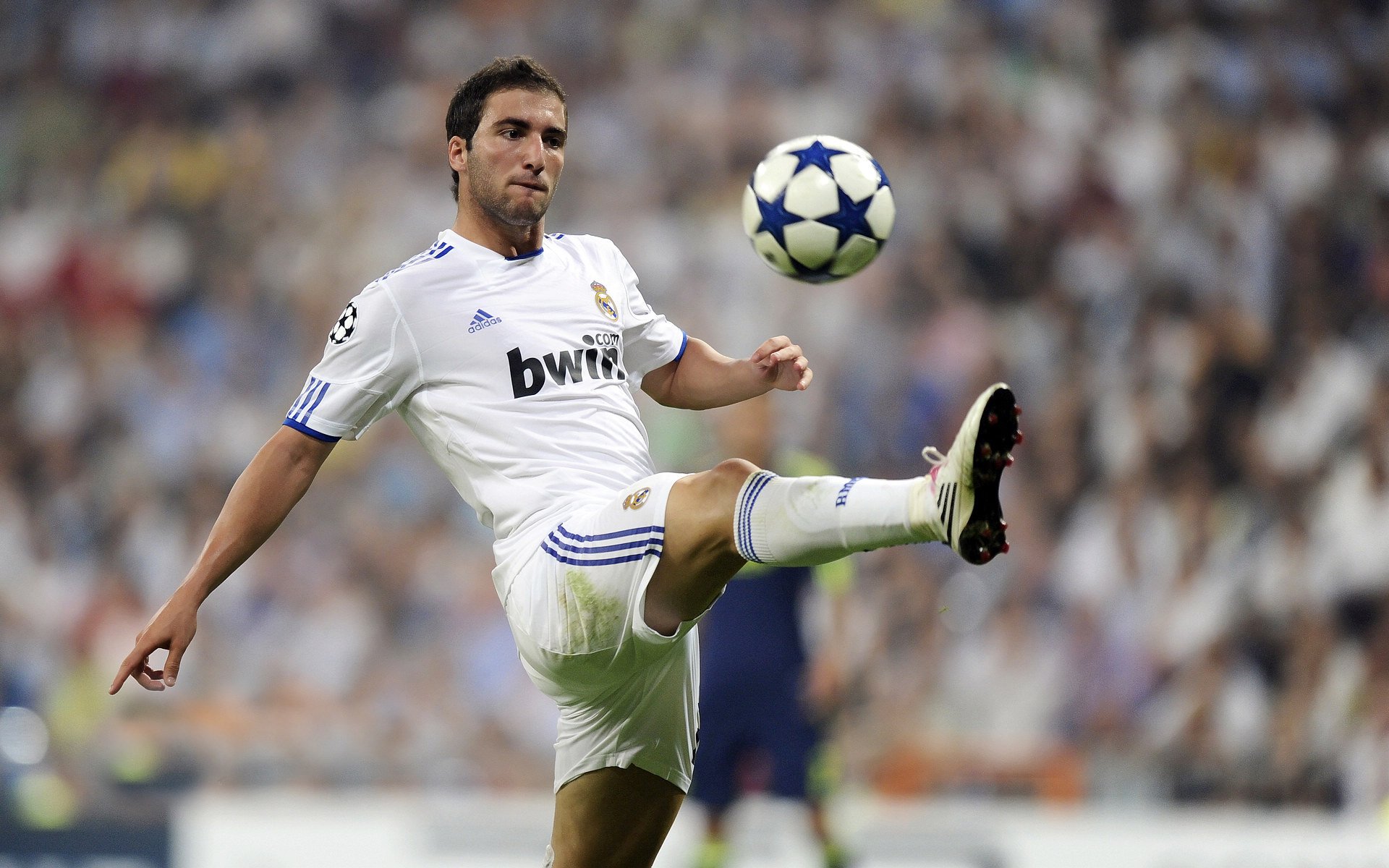 球星联名潮流篮球与时尚融合，球星联名的球鞋的牌子的图片